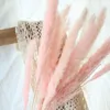 Prawdziwa pszenica ucho dekoracja kwiat naturalny pampas królik ogon trawy suszone kwiaty na wesele DIY Craft Bukiet