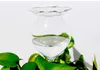 Plant Waterer Self Watering Globes Hand Blown Clear Glass Plant Water Bulbs for Indoor Outdoor 2 Flower Shape