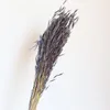 装飾的な花の花輪卸売価格安定化ロングラスト保存されたドライフラワーブーケ小麦50茎付き束の結婚式ステージb