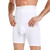 Sous-vêtements hommes ventre contrôle Shorts taille haute sous-vêtements amincissants corps Shaper sans couture ventre Boxer slips séchage rapide Abdomen