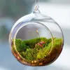 10 Uds. Florero de cristal colgante transparente con forma de globo, decoración transparente, flores, plantas, espectáculos de jardín y hogar