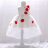 年の女の赤ちゃんのドレスレースプリンセスバプテスマ幼児の子供用服1誕生日服を