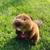 Trudi italiano Big Board Dente Beaver Plush Plushing Children Golds039s Doll3575881