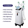 FDA Godkänd kryolipolys Fat Freezing Machine Lövsugning Slimming Cryoterapi Body Contouring Criolipolisis Body Shaping Equipment