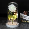 Cadeau de saint valentin, fleur la belle et la bête, Rose dans un dôme en verre, lampe Led, décoration idéale pour petite amie