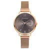 Lyxur för kvinnor Rose Gold Mesh Strap Women's Fashion Wates Simple Numbers Dall Luxury Quartz Clock Wristwatches Relo238q