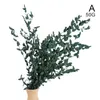 Decoratieve bloemen kransen 5 hoofden eucalyptus 3 vorken geld blad simulatie huis planten bruiloft decoratie kunstmatige nordi i8a4