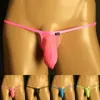 Unterhosen Männer Sexy Mesh Low Rise Briefs Tanga G-String T-Back Eis Seide Stretch Unterwäsche Homosexuell Penis Mantel Beutel bikini Jockstrap