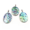 Oval form hänge äkta abalone naturlig blå grön platt rygg hav paua skal strand smycken 5 stycken