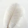 Plume de plumes d'autruche de couleur blanche de haute qualité 16-18 pouces pour la décoration de la maison de table de mariage