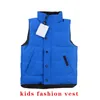 Winter Kids Jackets Coats Waistcoat Vests Girl Boys Classic Letter Vest Down Jacket Baby Teen Clothes Outerwear Child Coat Clothing 5 Colors