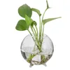 Vases 6pcs Clear Ball Glass Flower Vase Pot Mini Landscape Terrarium Bottle Little Cute Candlestick 8cm