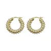 Retro mode Wild Pearl Earrings Stud High-End Gold-Plated Winter Models Trend Nisch Design Ins Jewelry Accessories296o