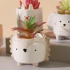 Cute Hedgehog Rabbit Ceramic Flowerpot Cartoon Animal Succulent Planter Balcony Garden Pots Decor
