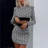 Kjolar 2021 Vår och höst Kvinnors Fashion Print Short Section Stand-up Collar Långärmad tröja Slim Bag Hip Kjol kostym