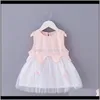 Filles Robes Bébé, Enfants Maternité Bébé Fille D'été Princesse Robe Tutu Habillé Casual Vêtements Pour Enfants Mignon Papillon Broderie Fête