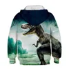 Garçons Filles Dinosaure Patterning Hoodies Automne Hiver Adolescent Enfants Animal À Capuche Infantil Toddler Garçon Costumes Sweat Vêtements 220115