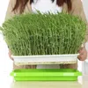 Planters & Pots Soilless Nursery Tray Seeding Sprout Plate Home Garden Hydroponic Plant Wheatgrass Growing