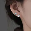 blue shell earrings
