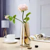 Aurora Vaso in vetro Decorazione da scrivania Composizione floreale trasparente Decorazione per la casa Symphonic Simple Fresh Vase 210623