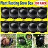 Planteurs Pots 100pcs Plantez Grafting Enracinant Baline Boule Coffret Coffret Coffret Dispositif à haute pression Propagation Boules de propagation pour