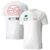 F1 Tシャツ夏のフォーミュラ1モータースポーツ短袖Tシャツレーシングスポーツ愛好家チームユニフォームジャージー同じ車のロゴティーワークウェア