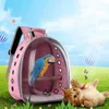 Pet Parrot Bird Travel Bag Space Capsule Transparent Backpack Breathable 360 degrees Sightseeing 210916234f