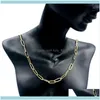 Chaînes Colliers Pendentifs Jewelrychains Mode Femmes Collier Cuivre Placage Solide Couleur Or Trombone Hip Hop Punk Clavicule Chaîne Fête