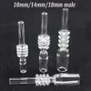 Raucherzubehör Quarzspitze für NC 10mm 14mm 18mm Joint Dab Stroh Tropfspitzen Domeless Echter Quarz Nagel Glas Wasserbong