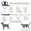 8 Renk Moda Lüks Kedi Köpek Yaka Tasmalar Set Evcil Hayvanlar Retro Deri Pet Yaka Tasarımcı Kemer Foodle Schnauzer Küçük Boy Köpekler Halat Neckcollar Golden