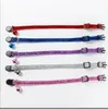 2021 Fashion Pet Bling Gliitter Cat Collar With Safety Breakaway Plastic Buckle Kitten Necklace With Bell