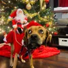 Pet Dog Odzież Christmas Costume Santa Claus Jazda Zwierzęta Koty Ubrania Produkty Plus Size