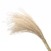 Natural Dried Flowers Wedding Decorative Real Pampas Reed Whisk Grass Artificial Flower Bunch Home Plant Ornaments