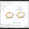 & Hie Jewelrytodorova Punk Cool Light Rivet Small Open Hoop Cubic Zirconia Spike Earrings For Women Dff0627 Drop Delivery 2021 3Ofho