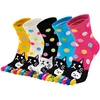 cats socks kids