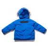 Vinter Kids Down Coat Jacket Boy Girl Baby Ytterkläder Varma GreatCoat Jackor Hooded Sportkläder Outdoor Classic Wrap 5 Färger 100-150 Designer