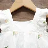 Księżniczka Baby Dress Dla Dziewczyn Party Wedding Lace Tulle Sukienki Chrzest Chrzcielstwo Przyjęcie urodzinowe Tutu Dress Odzież Niemowlę Q0716