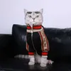アウターウェアレジャーレタードッグ豪華な厚いジッパーペットセーターコート秋の冬の屋外スポーツ猫犬衣料品jk56