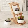 White Porcelain Succulents Pot Green Plants Flower Pot With Bamboo Tray Creative Office Tabletop Planter Concise Vase Home Decor 210712