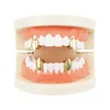 canine tooth grill