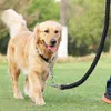 Nylon 8-Strand Double Color Dog Collars & Leashes Medium And Large Dogs Rope P-Chain Durable Pet Chain Factory Direct Sales