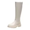 Laarzen 2021 dames schoenen dikke hakken platform knie high pu lederen slanke lange moderne zip dame botas mujer