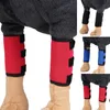 Vêtements pour chiens 1 paire SBR Pet Legs Brace Genou Support Protector Hock Sleeve