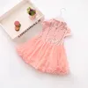 Baby Girl Lace Dress Boutique Floral Mesh Princess Flower Sleeveless Casual Summer Girls Party Dress Kids Clothing G1026