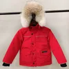 キッズデザイナーダウンコートウィンタージャケット少年ガールベビーアウターウェアジャケット厚い暖かい暖かいコート子供パーカーファッションクラシックパーカー
