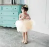 Detaljhandel Vår Höst Baby Girl Party Dresses Fluffy Soft Gaze Tiered Tulle Ball Kappa För Bröllop Barnkläder E10102 210610