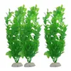 herbe aquatique