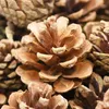 Dekorativa blommor kransar 1020st pinecone naturlig tallkon julgran toppers år fest Xmas bord mini dekoration diy 4881694