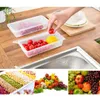 Refrigerador retangular Fresh-mantendo caixas de frutas plásticas seladas caixa de armazenamento de alimentos congelados com placa de drenagem CCF4648