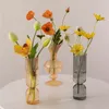 color glass vases